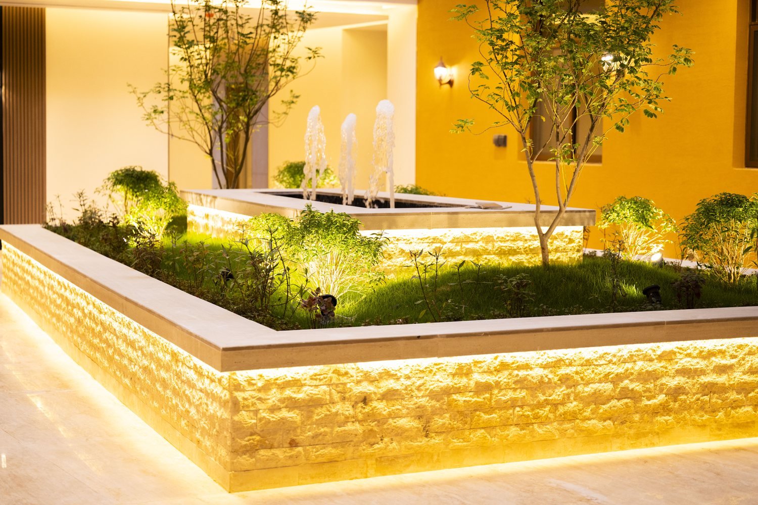 Courtyard planting lit at night